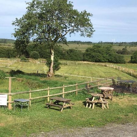 Rhydgaled Villa Llanon Kültér fotó