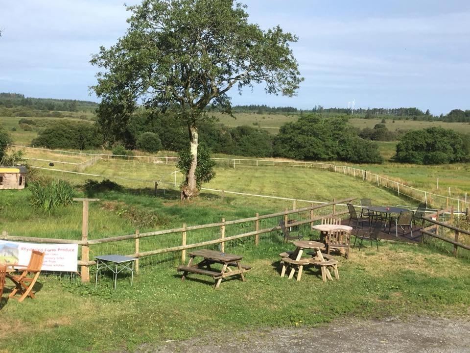 Rhydgaled Villa Llanon Kültér fotó